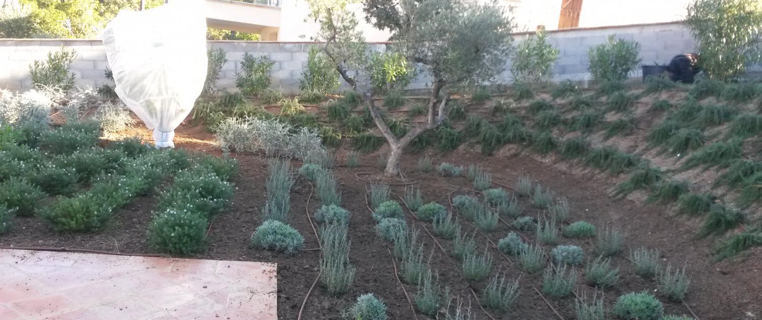 Arrosage automatique de jardin : installation et pose à Sainte-Maxime (83)