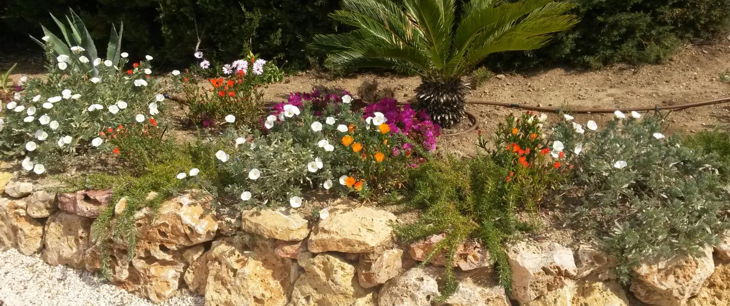 Arrosage automatique de jardin : installation et pose à Sainte-Maxime (83)